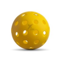 Pack Pickleball Drop Shot Fortum 1.0  Offer + Cheap