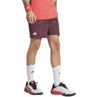 Short Adidas Ergo Pro Aurora Rubi  Offer + Cheap
