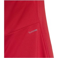 Adidas Heritage Red Dress